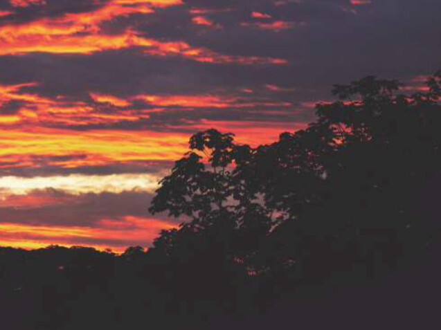 OtraPortada_NapoCuraray-01