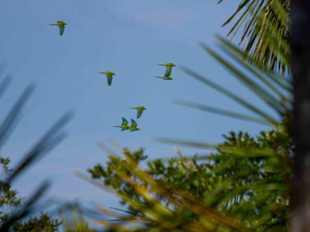 web_MG_8665